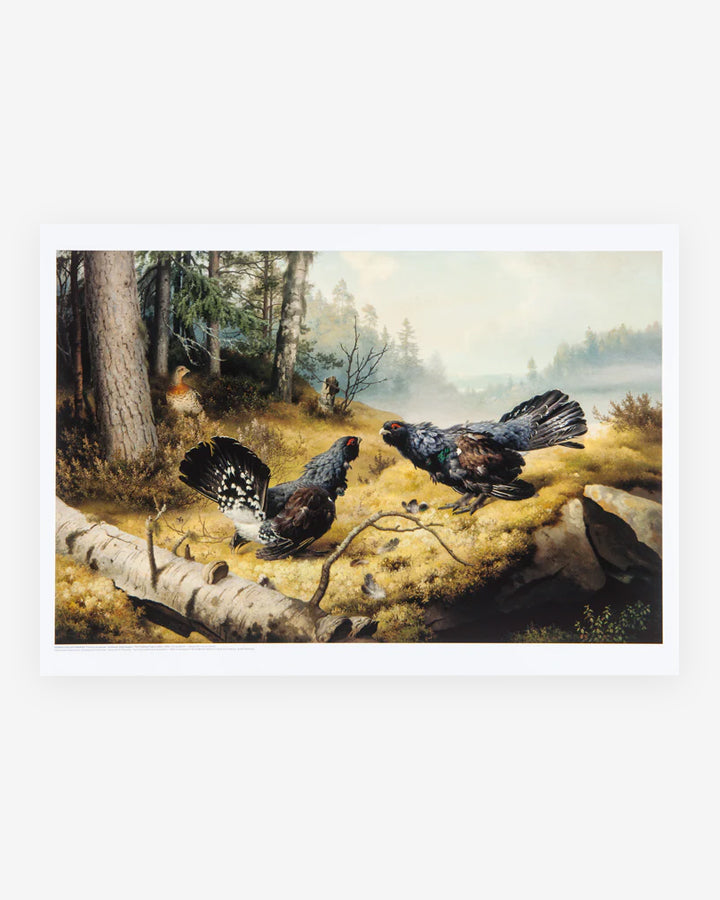 Taistelevat metsot -juliste – Museoshop